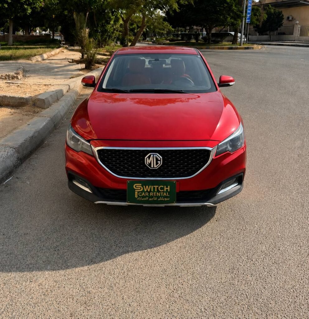 MGzs 2020